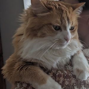 Meet your Posher, Claire